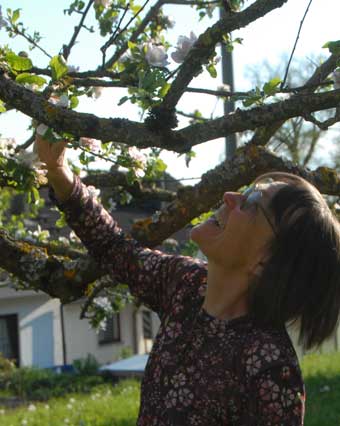 landesgartenschau-Apfelblüte-340px landesgartenschau-Apfelblüte-340px