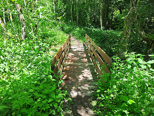 Einzelbegleitung Bruecke