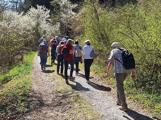 mittendrin spirituelle Wanderungen